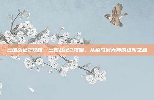 三国战记2攻略,三国战记2攻略,从菜鸟到大神的进阶之路