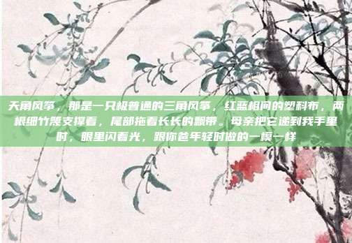 天角风筝,那是一只极普通的三角风筝,红蓝相间的塑料布,两根细竹篾支撑着,尾部拖着长长的飘带。母亲把它递到我手里时,眼里闪着光,跟你爸年轻时做的一模一样