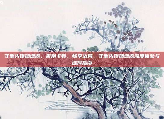 守望先锋加速器,告别卡顿,畅享战局,守望先锋加速器深度体验与选择指南
