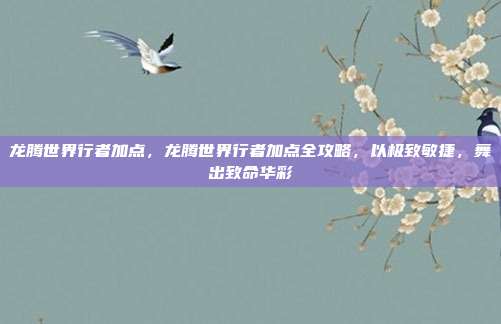龙腾世界行者加点,龙腾世界行者加点全攻略,以极致敏捷,舞出致命华彩