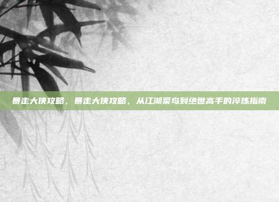 暴走大侠攻略,暴走大侠攻略,从江湖菜鸟到绝世高手的淬炼指南