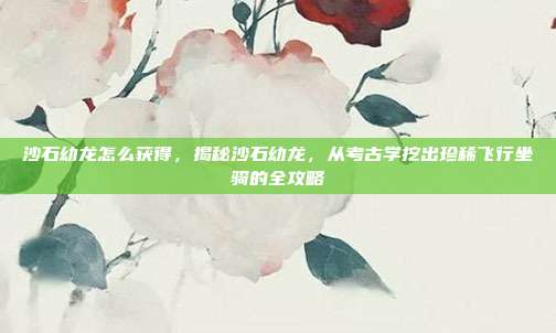 沙石幼龙怎么获得,揭秘沙石幼龙,从考古学挖出珍稀飞行坐骑的全攻略