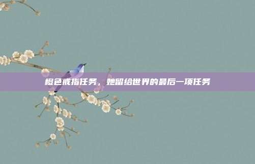 橙色戒指任务,她留给世界的最后一项任务