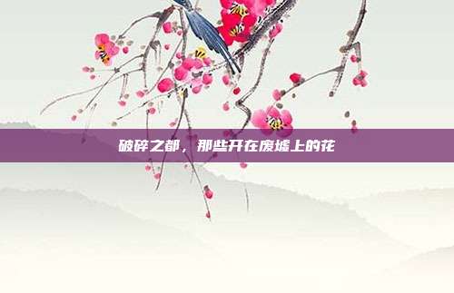 破碎之都,那些开在废墟上的花