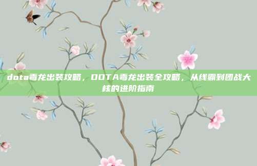 dota毒龙出装攻略,DOTA毒龙出装全攻略,从线霸到团战大核的进阶指南