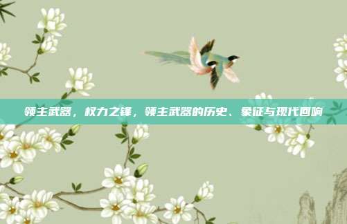 领主武器,权力之锋,领主武器的历史、象征与现代回响