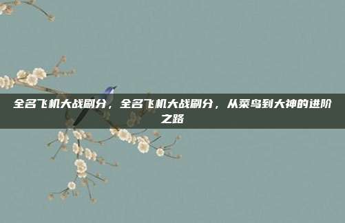 全名飞机大战刷分,全名飞机大战刷分,从菜鸟到大神的进阶之路