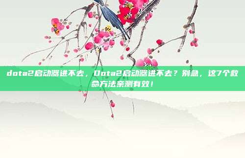 dota2启动器进不去,Dota2启动器进不去?别急,这7个救命方法亲测有效!