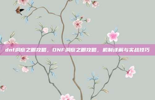 dnf洞察之眼攻略,DNF洞察之眼攻略,机制详解与实战技巧