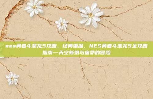 nes勇者斗恶龙5攻略,经典重温,NES勇者斗恶龙5全攻略指南—天空新娘与宿命的冒险