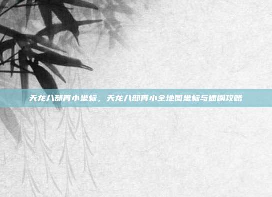 天龙八部宵小坐标,天龙八部宵小全地图坐标与速刷攻略