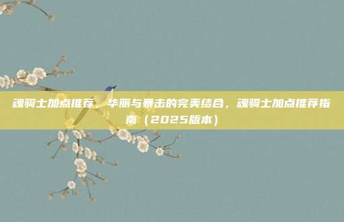 魂骑士加点推荐,华丽与暴击的完美结合,魂骑士加点推荐指南(2025版本)