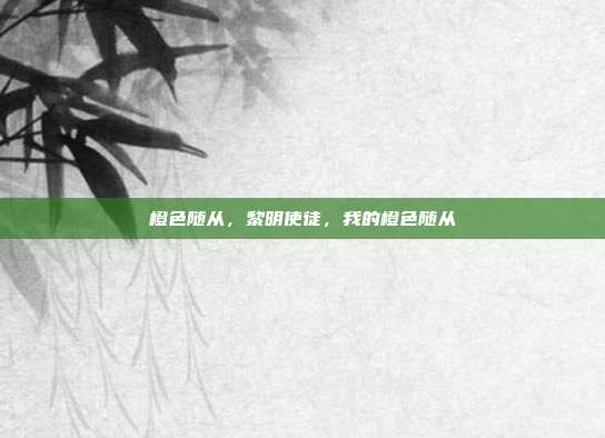 橙色随从,黎明使徒,我的橙色随从