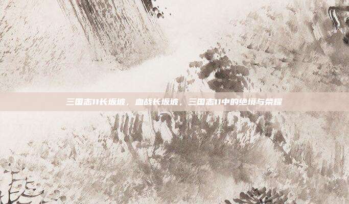 三国志11长坂坡,血战长坂坡,三国志11中的绝境与荣耀
