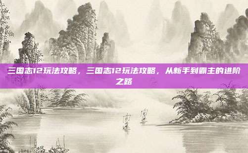 三国志12玩法攻略,三国志12玩法攻略,从新手到霸主的进阶之路