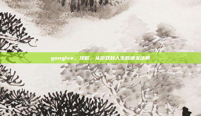 gonglve,攻略,从游戏到人生的通关法则