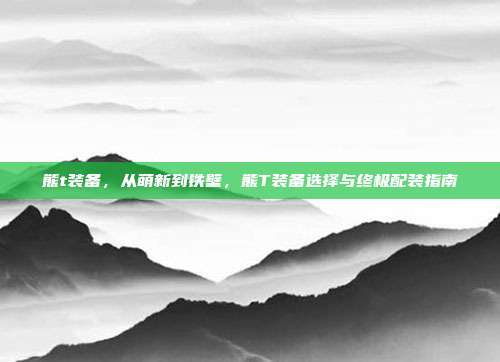 熊t装备,从萌新到铁壁,熊T装备选择与终极配装指南