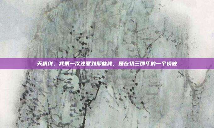 天机线,我第一次注意到那些线,是在初三那年的一个傍晚