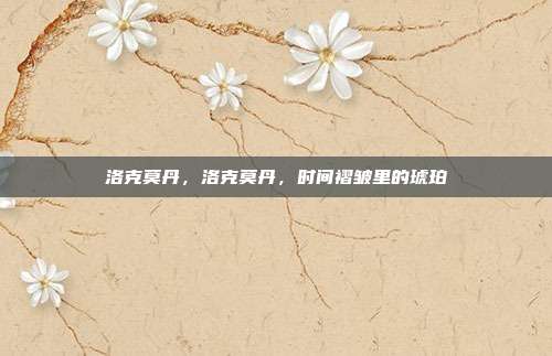 洛克莫丹,洛克莫丹,时间褶皱里的琥珀