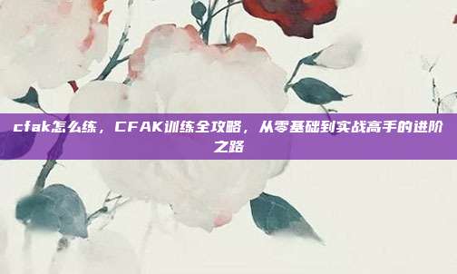 cfak怎么练,CFAK训练全攻略,从零基础到实战高手的进阶之路