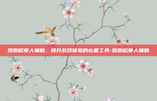 跑跑稻草人辅助,提升游戏体验的必备工具-跑跑稻草人辅助