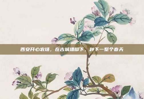 西安开心农场,在古城墙脚下,种下一整个春天