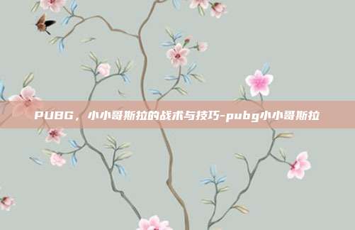 PUBG,小小哥斯拉的战术与技巧-pubg小小哥斯拉