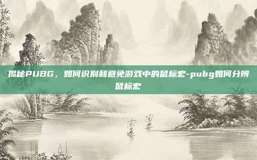 揭秘PUBG,如何识别和避免游戏中的鼠标宏-pubg如何分辨鼠标宏