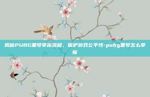 揭秘PUBG黑号举报流程,保护游戏公平性-pubg黑号怎么举报
