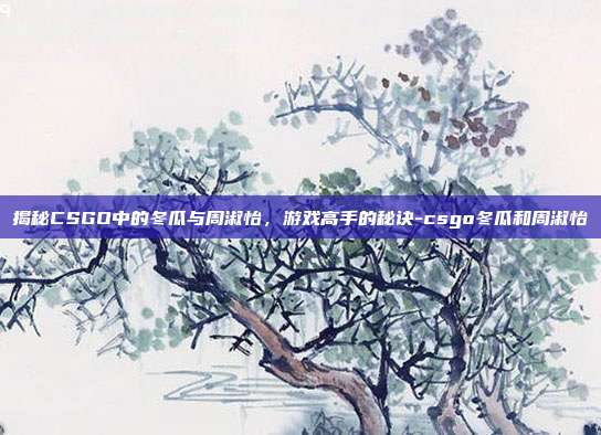 揭秘CSGO中的冬瓜与周淑怡,游戏高手的秘诀-csgo冬瓜和周淑怡