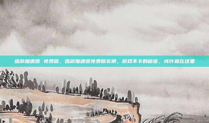 迅游加速器 免费版,迅游加速器免费版实测,游戏不卡的秘密,或许就在这里