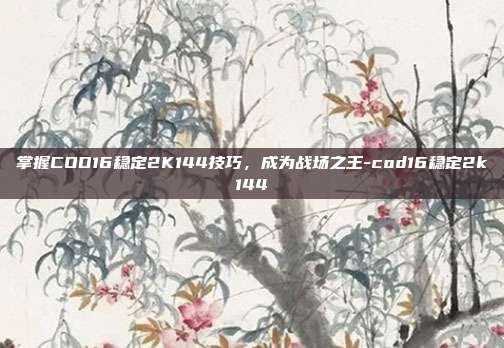 掌握COD16稳定2K144技巧,成为战场之王-cod16稳定2k144