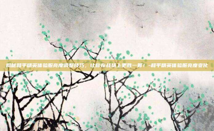 揭秘和平精英体验服亮度调整技巧,让你在战场上更胜一筹!-和平精英体验服亮度变化