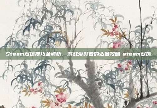 Steam双拨技巧全解析,游戏爱好者的必备攻略-steam双拨