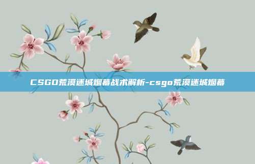CSGO荒漠迷城烟幕战术解析-csgo荒漠迷城烟幕
