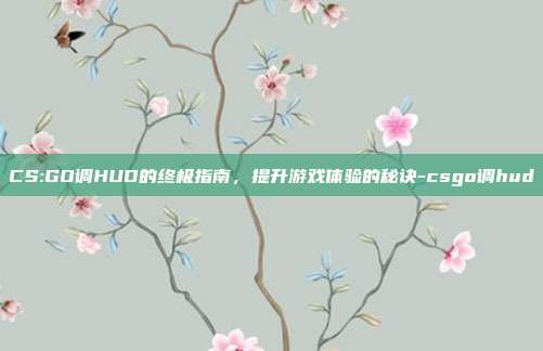 CS:GO调HUD的终极指南,提升游戏体验的秘诀-csgo调hud