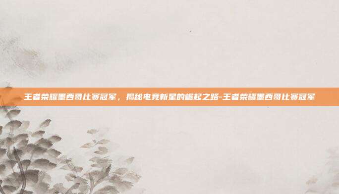 王者荣耀墨西哥比赛冠军,揭秘电竞新星的崛起之路-王者荣耀墨西哥比赛冠军