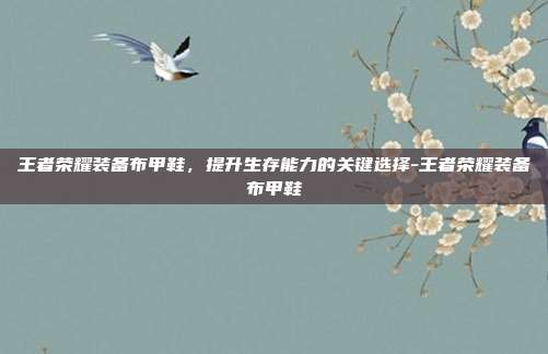 王者荣耀装备布甲鞋,提升生存能力的关键选择-王者荣耀装备布甲鞋