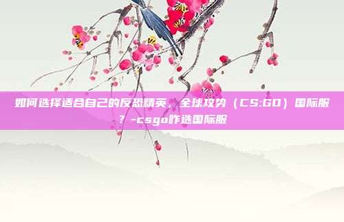 如何选择适合自己的反恐精英,全球攻势(CS:GO)国际服?-csgo咋选国际服
