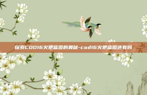 探索COD16火把蓝图的奥秘-cod16火把蓝图还有吗