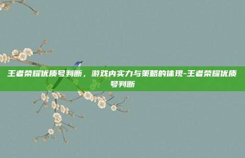 王者荣耀优质号判断,游戏内实力与策略的体现-王者荣耀优质号判断