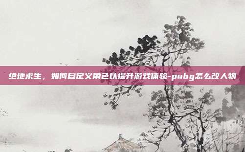 绝地求生,如何自定义角色以提升游戏体验-pubg怎么改人物