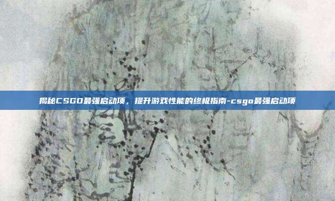 揭秘CSGO最强启动项,提升游戏性能的终极指南-csgo最强启动项
