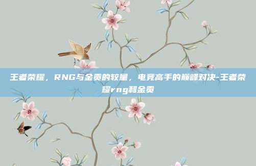 王者荣耀,RNG与金贡的较量,电竞高手的巅峰对决-王者荣耀rng和金贡