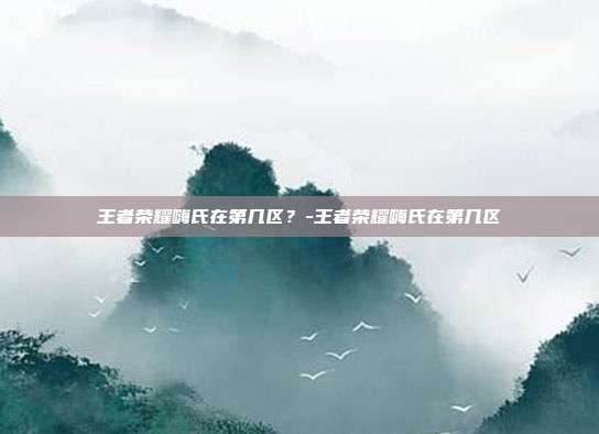 王者荣耀嗨氏在第几区?-王者荣耀嗨氏在第几区