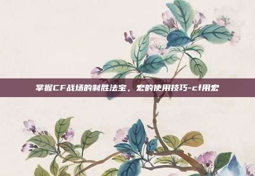 掌握CF战场的制胜法宝,宏的使用技巧-cf用宏