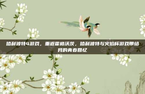 哈利波特4游戏,重返霍格沃茨,哈利波特与火焰杯游戏带给我的青春回忆