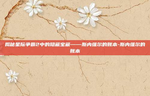 揭秘星际争霸2中的隐藏宝藏——斯内维尔的账本-斯内维尔的账本