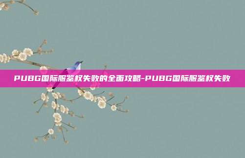 PUBG国际服鉴权失败的全面攻略-PUBG国际服鉴权失败