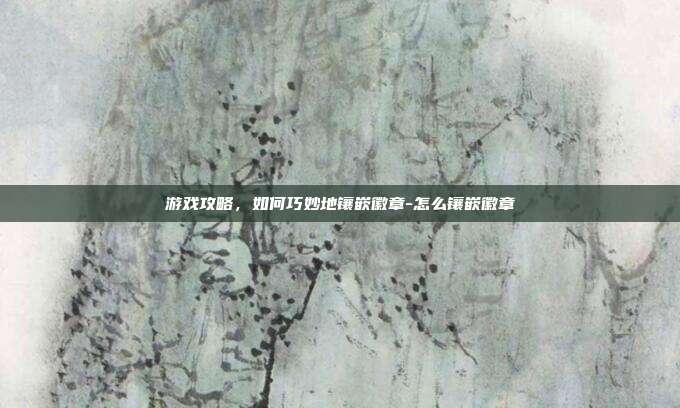 游戏攻略,如何巧妙地镶嵌徽章-怎么镶嵌徽章